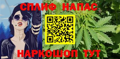 дмт Будённовск