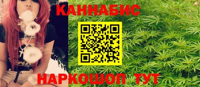 дмт Будённовск