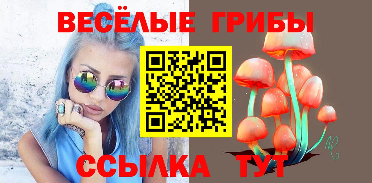 Галлюциногенные грибы MAGIC MUSHROOMS Киржач